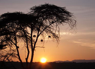 케냐 – 케냐산 국립공원과 천연림